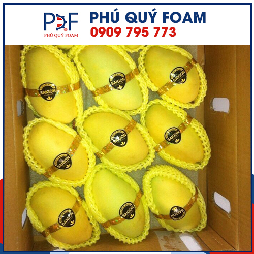 Sản phẩm MÃºt lÆ°á»›i trÃ¡i xoÃ i — Vận Tải Hàng Hóa Phú Quý Foam - Công Ty TNHH Thương Mại Dịch Vụ Phú Quý Foam — MST 1101884283
